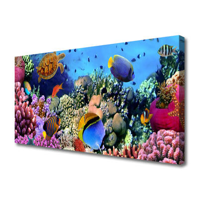 Canvas print Coral reef nature multi