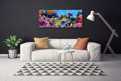 Canvas print Coral reef nature multi