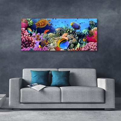 Canvas print Coral reef nature multi