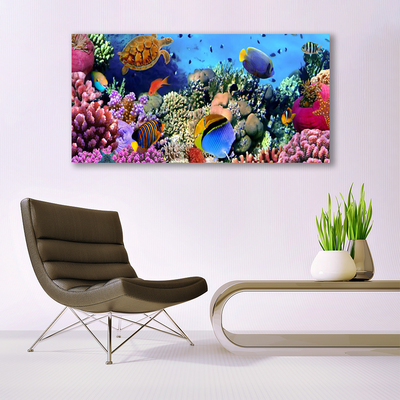 Canvas print Coral reef nature multi