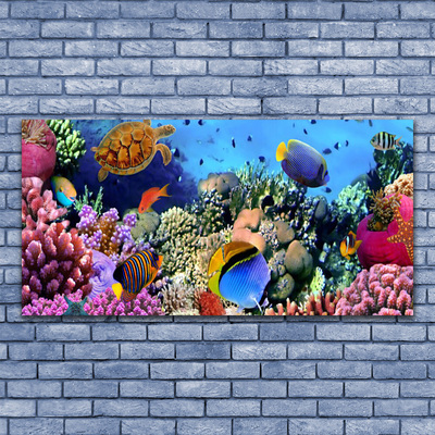 Canvas print Coral reef nature multi