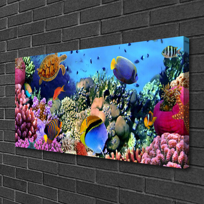 Canvas print Coral reef nature multi