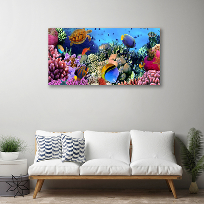 Canvas print Coral reef nature multi