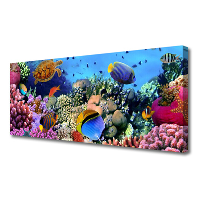 Canvas print Coral reef nature multi