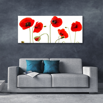 Canvas print Poppies floral red black green