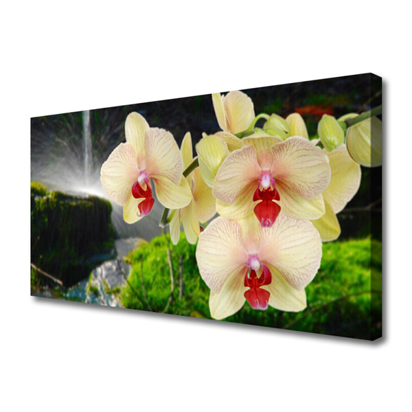 Canvas print Trees floral white red