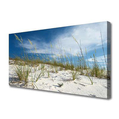 Canvas print Beach landscape brown green