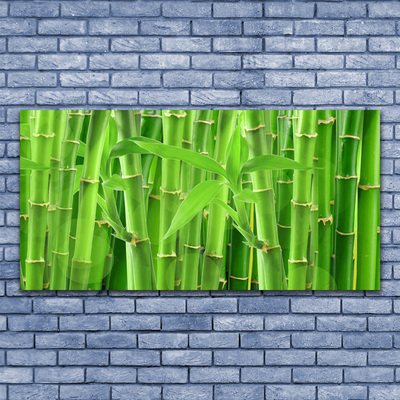 Canvas print Bamboo stalk floral green