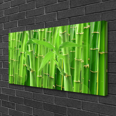 Canvas print Bamboo stalk floral green