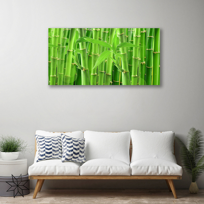 Canvas print Bamboo stalk floral green