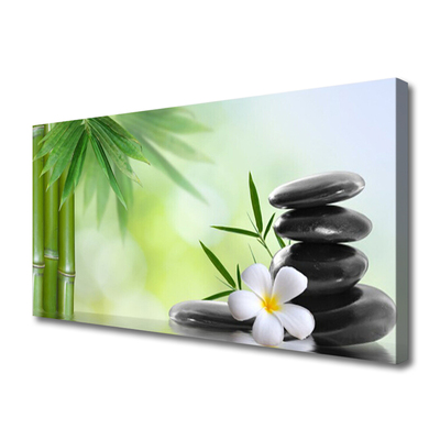 Canvas print Bamboo stalk flower stones art green white black