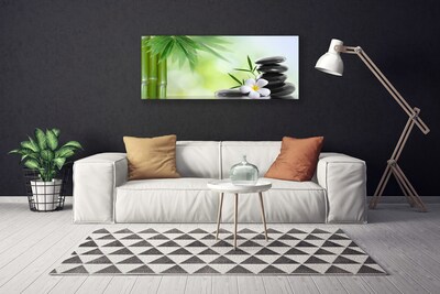 Canvas print Bamboo stalk flower stones art green white black