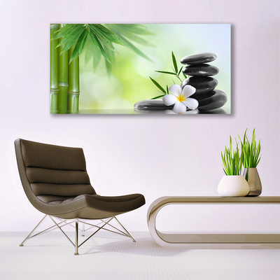 Canvas print Bamboo stalk flower stones art green white black