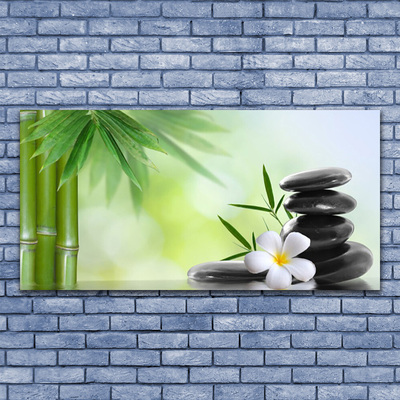 Canvas print Bamboo stalk flower stones art green white black