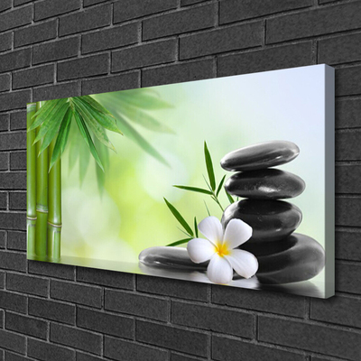 Canvas print Bamboo stalk flower stones art green white black