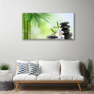 Canvas print Bamboo stalk flower stones art green white black