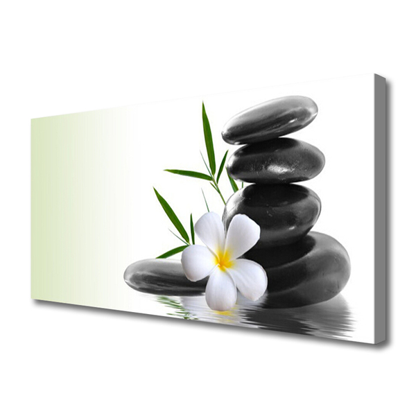 Canvas print Flower stones art white black