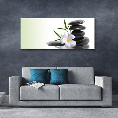 Canvas print Flower stones art white black