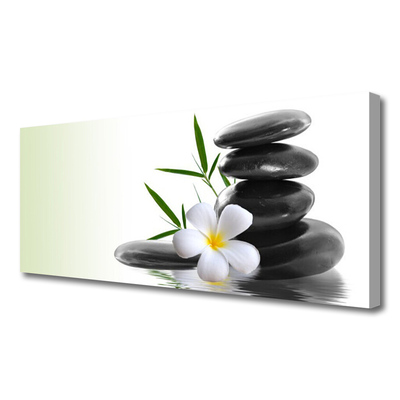 Canvas print Flower stones art white black