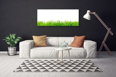 Canvas print Grass nature green