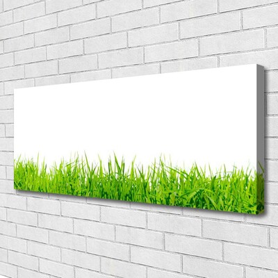 Canvas print Grass nature green