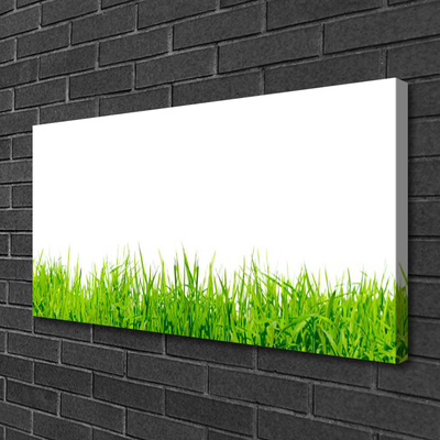 Canvas print Grass nature green