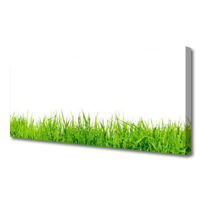 Canvas print Grass nature green