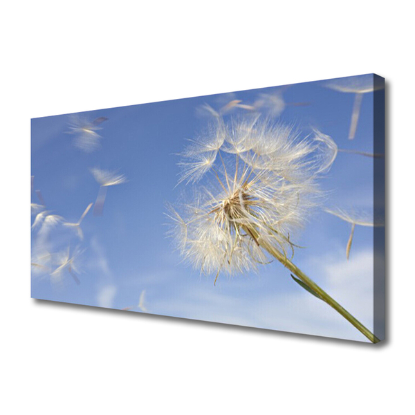Canvas print Dandelion floral white blue