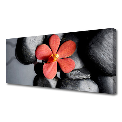 Canvas print Flower stones art red grey