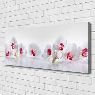 Canvas print Flowers floral white red