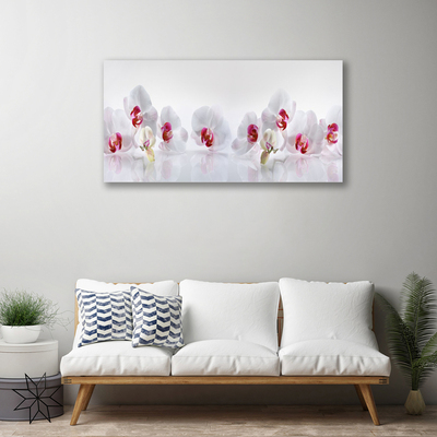 Canvas print Flowers floral white red