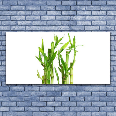 Canvas print Bamboo stalks floral green