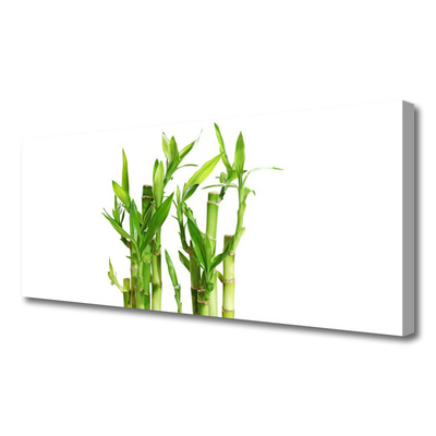 Canvas print Bamboo stalks floral green