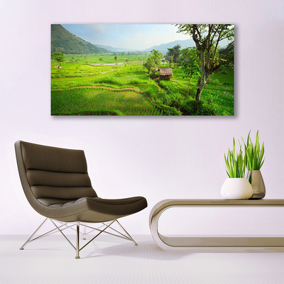 Canvas print Meadow nature green