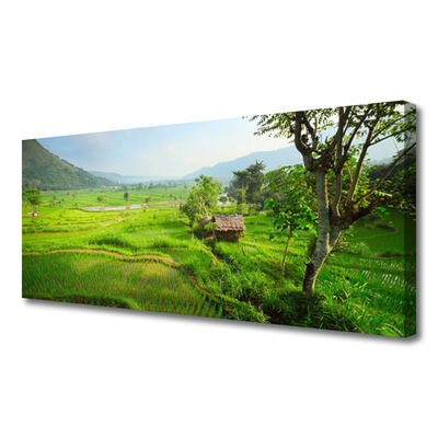 Canvas print Meadow nature green