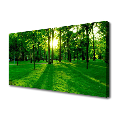 Canvas print Forest nature brown green