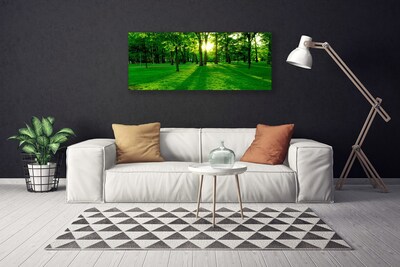 Canvas print Forest nature brown green