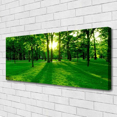 Canvas print Forest nature brown green