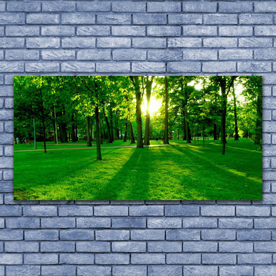 Canvas print Forest nature brown green