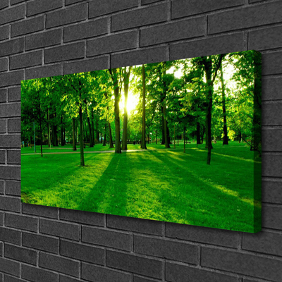 Canvas print Forest nature brown green