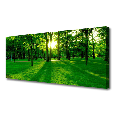 Canvas print Forest nature brown green