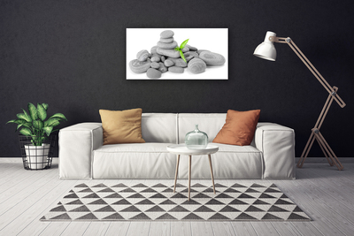 Canvas print Stones art grey