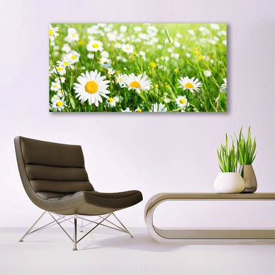 Canvas print Daisy floral white yellow green