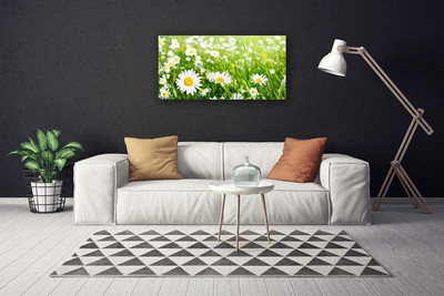 Canvas print Daisy floral white yellow green