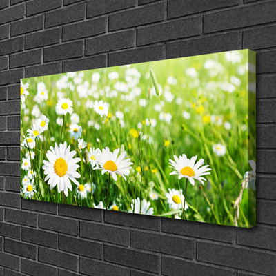 Canvas print Daisy floral white yellow green