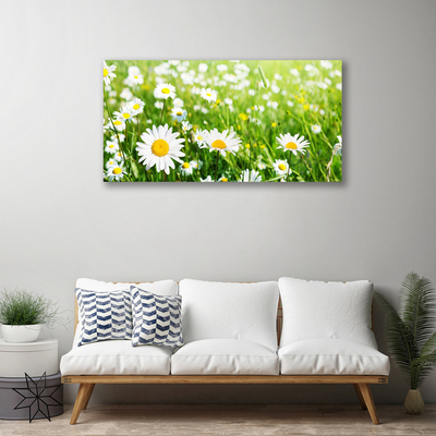 Canvas print Daisy floral white yellow green