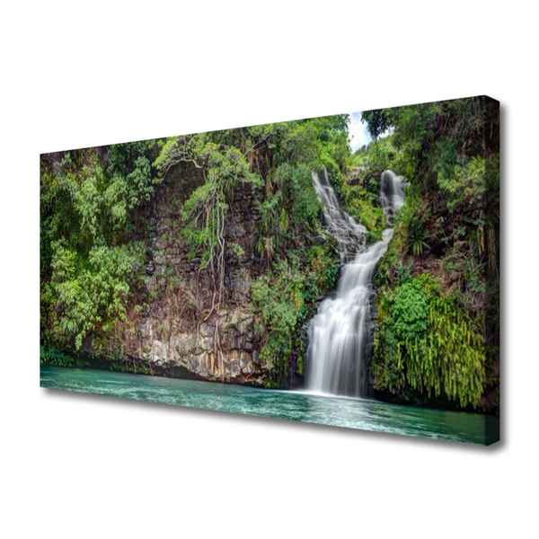 Canvas print Waterfall rock nature white blue grey green