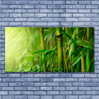 Canvas print Bamboo stalks floral green