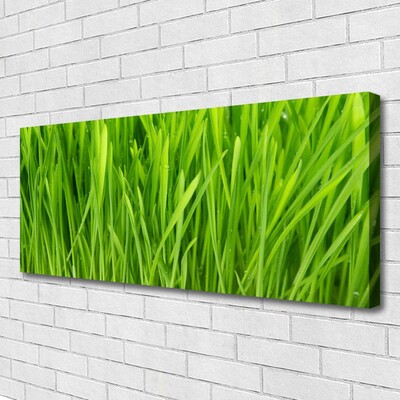 Canvas print Weed floral green