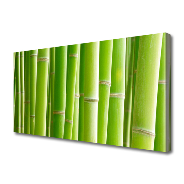 Canvas print Bamboo stalks floral green